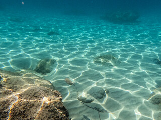 Fototapeta premium underwater scene with rays of light on a beach on the island of Mallorca 