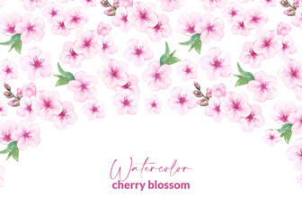 Watercolor almond or cherry blossoms. Illustration of blooming pink sakura. Template design with hand drawn flowers for packaging, web, card and label.