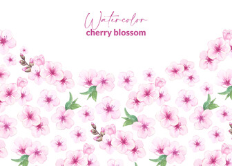 Watercolor almond or cherry blossoms. Illustration of blooming pink sakura. Design with hand drawn flowers for packaging, web, card and label.