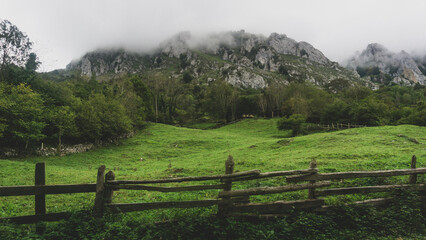 Fototapeta na wymiar Beautiful landscape of the countryside with an old fence and the forest and mountains at the bottom