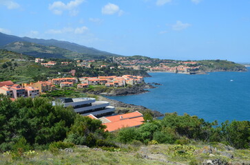 Fototapeta na wymiar Collioure (Pyrénées Orientales - Occitanie - France)
