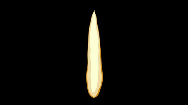 Candle Fire 2D Animation with Alpha Channel