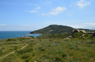  Collioure (Pyrénées Orientales - Occitanie - France)