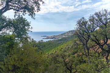 Fototapeta na wymiar Landschaft im Estérel-Gebirge an der Côte d'Azur