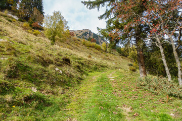 Landschaft in herbstlichen Farben im Zillertal in Tirol