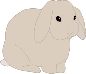 Vector art of sitting rabbit. Cute simple hand drawn bunny. Animal isolated. Pet icon