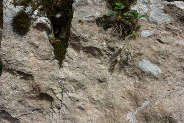 natural stone located on a mountain plateau, sights, places visited by tourists.