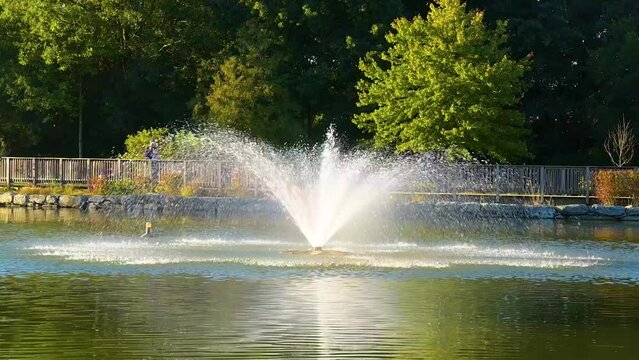 Water fountain on a lake with trees and a person walking a dog in the background.