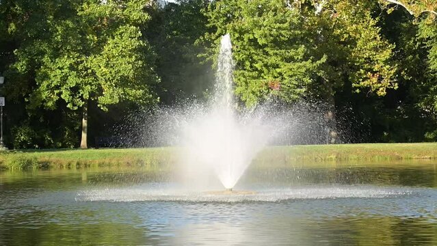 Water fountain on a lake with a green park and trees in the background.