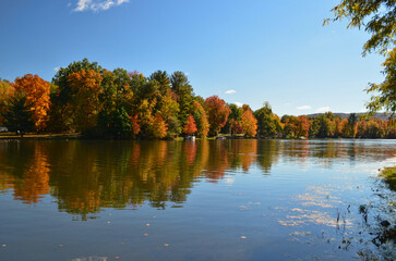 autumn foliage along a lake