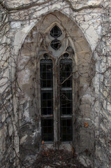 Fototapeta na wymiar Detail of a Gothic window covered with branches.