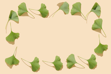 Fototapeta premium Beautiful bright frame with cozy fresh green ginkgo biloba leaves on pastel beige background. Flat lay, top view minimal neutral herbal arrangement. Ginkgo biloba.