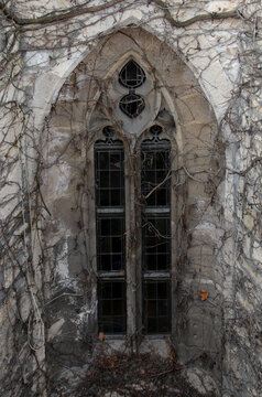 Detail of a Gothic window covered with branches.
