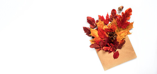 Dried leaves in an envelope on a light background, time of year autumn, autumn greeting.