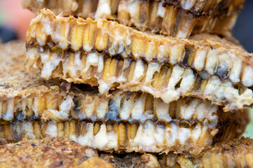 rotten food with maggots 