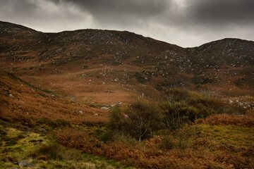 Peat covered mountain of Wild Nephin National Park in Ireland. It is located on the western seaboard in Northwest Mayo. It comprises of 11.000 hectares of Atlantic Blanket Bog and mountainous terrain.