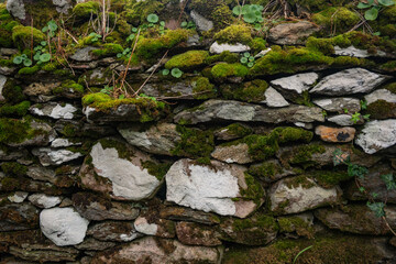 Fototapeta na wymiar Ireland's humid climate provides the typical fairytale moss-covered walls.