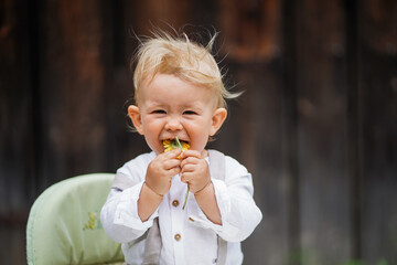 one year old happy blond german baby boy in white shirt playing outside infront of a rustic wooden hut gate with a yellow flower to congratulate for birthday - obrazy, fototapety, plakaty