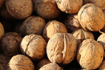 Close-up of walnuts collected in a pile