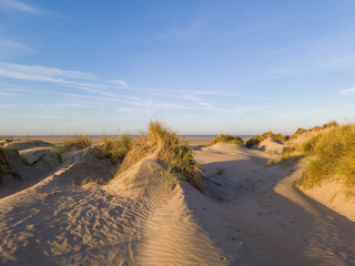 Sunrise over dune landscape with beach view at IJmuiden in the Dutch province of North Holland with wind patterns in blown dunes overgrown with marram grass against background with blue sky