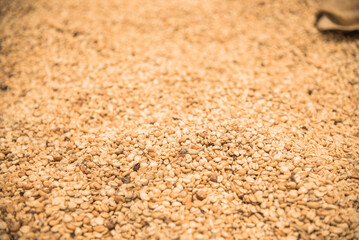 Kauai Coffee Beans