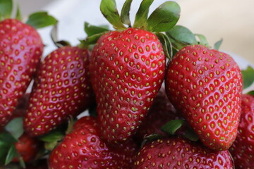 strawberries on a white background