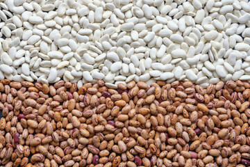 White and brown haricot beans, background. Flat lay