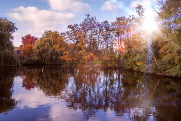 autumn trees reflected in water