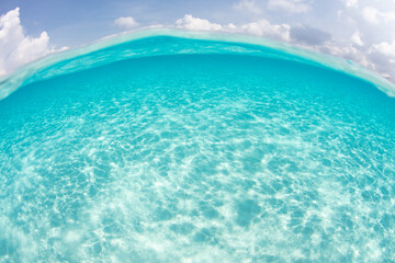 Bright sunlight reflects off of white sand in the clear, warm seas of the tropical Pacific. 