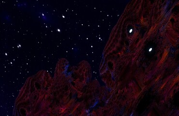 stars
