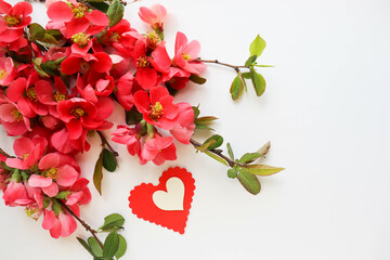 Fototapeta na wymiar greeting card happy valentine's day. blooming spring azalea branch and red heart
