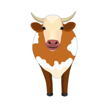 portrait of a cow with full-length horns in brown with white spots. vector