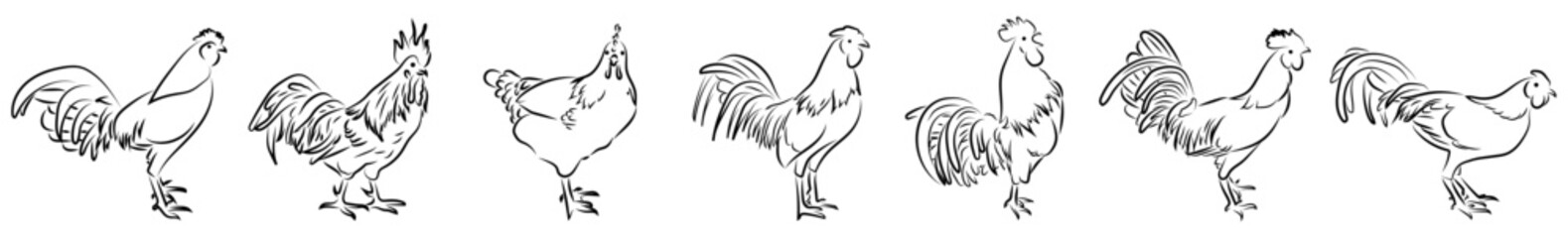 7 Hähne Lineart Zeichnungen Vektor Grafik | Roosters Lineart Drawings Vector Graphic