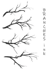 Fototapeta premium A set of vector branches drawn in ink. A set of vector silhouettes of branches