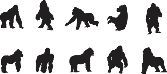 A vector silhouette collection of Gorillas for artwork compositions. © Daniel