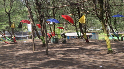 red and yellow tulips