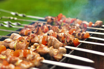 Tasty oriental shashlik skewer cooking over an open fire