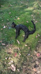 black cat black cat this animal is characteristic of halloween to demonstrate the traditional myth of fear, and bad luck around people