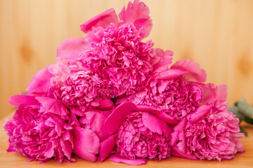 Bouquet of fresh  pink peony flowers, vibrant card with blooming