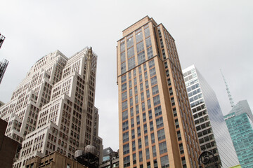 Fototapeta premium Tall Buildings in the City