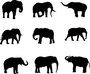 Elephant silhouette collection for artwork compositions