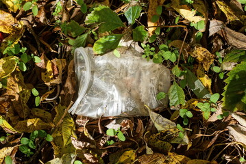 garbage from one white plastic cup lies in the grass and dry fallen leaves in nature