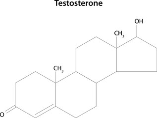Testosterone is the main male sex hormone. Structural formula.	 - obrazy, fototapety, plakaty