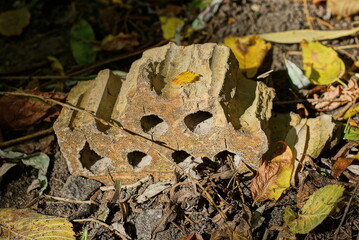 one piece of old brown brick lies on the ground among dry fallen leaves