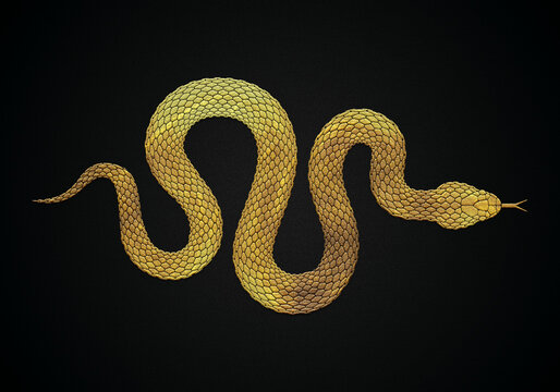 Zentangle golden python snake art