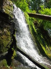 waterfall in the forest