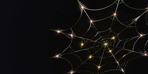 spider webs Background elegant gold can be used according to your needs
