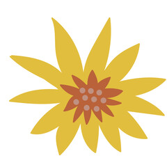 flower botanical hand drawn vector element