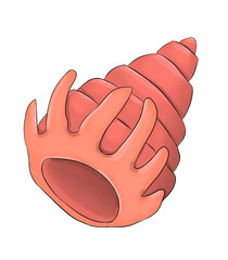 Coral spiral shell with long shoots, color illustration
