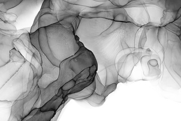 Marble ink abstract art from exquisite original painting for abstract background . Painting was painted on high quality paper texture to create smooth marble background pattern of ombre alcohol ink .